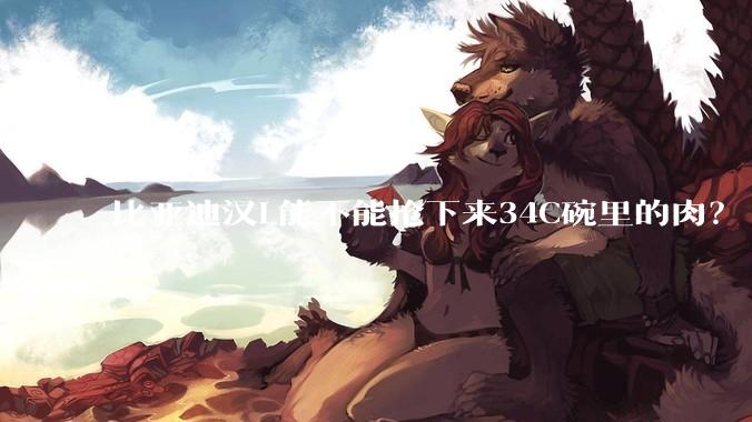 比亚迪汉L能不能抢下来34C碗里的肉？