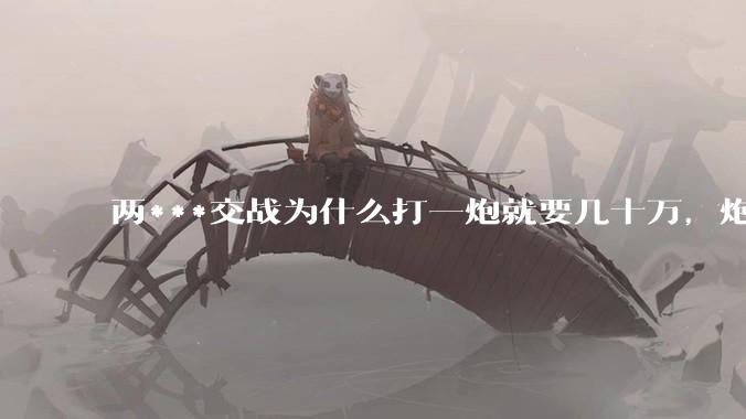 两***交战为什么打一炮就要几十万，炮弹都很值钱吗？